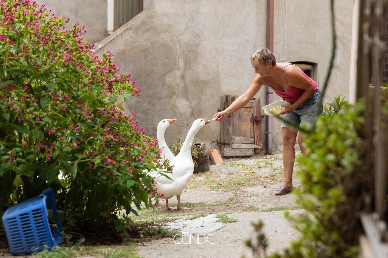 La casa contadina nel paese delle fiabe Appartamento Roccalvecce Esterno foto